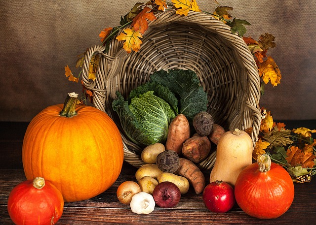 Read more about the article Happy Thanksgiving